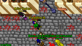 Paddisch on screen