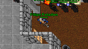 Filipe Paladyn on screen