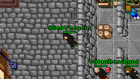 Silent'Legend on screen