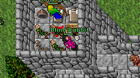 Blind'Rabbit on screen