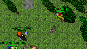 Herolif on screen