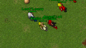 Vadio Avatar on screen