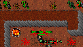 Druida-rox on screen