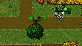 Exmeiser on screen