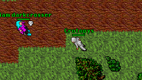 Crotopys on screen