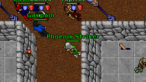 Phoenix'Striker on screen