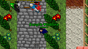 Knigth Wildfire on screen