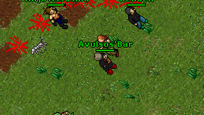 Avulsos'Bar on screen