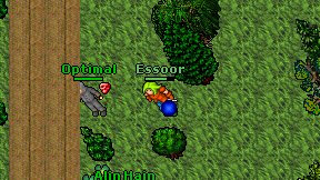 Essoor on screen