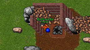 Rohashi on screen