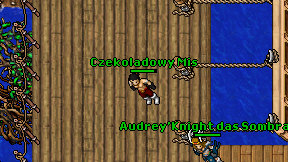 Czekoladowy Mis on screen