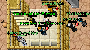 Vinimaxis'sorcerer on screen