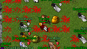 Tefin on screen