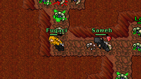 Fugaci on screen