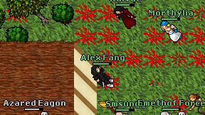 Alex Fang on screen