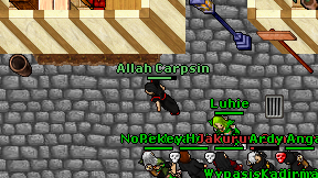 Allah Carpsin on screen
