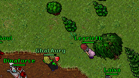 Leyrieth on screen