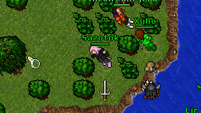Sazotok on screen