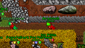 Araziosh on screen