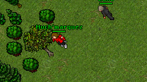 Huch'marquez on screen