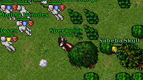 Sperkplus on screen