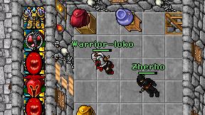 Warrior-loko on screen