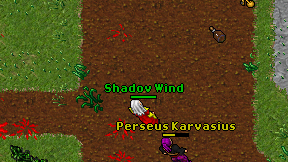 Shadov Wind on screen