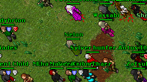 Nelon on screen