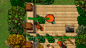 Hayabussa on screen