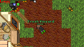 Fresh Vinyard on screen