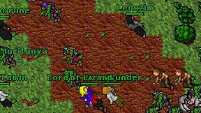 Lizard'under on screen