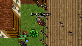 Elite Euter on screen