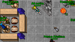 Akasiia on screen