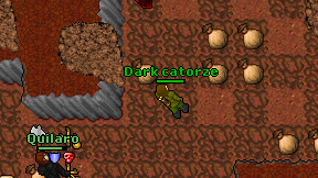 Dark catorze on screen
