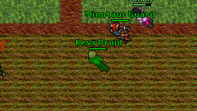 Kevs Druid on screen