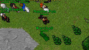 Warchall on screen