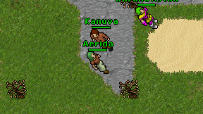 Aerida on screen