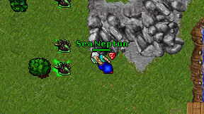 Sea Neptun on screen