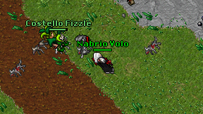 Nabrio Volo on screen