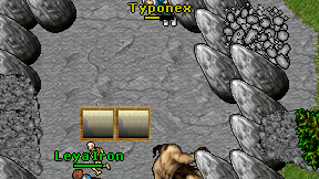 Typonex on screen
