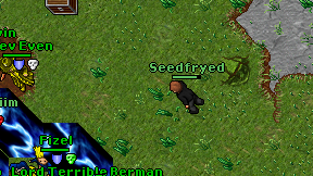 Seedfryed on screen