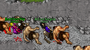 Atzo Sepis on screen
