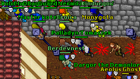 Master kotek on screen
