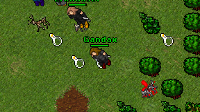 Gandax on screen