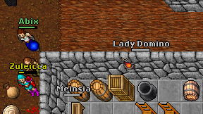 Lady Domino on screen