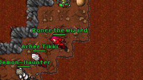 Ronee the wizard on screen