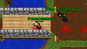Palantunion on screen