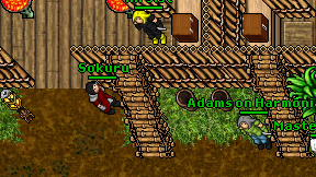 Sokuru on screen