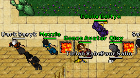 Gonzo Avatar on screen