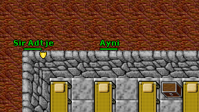 Ayni on screen